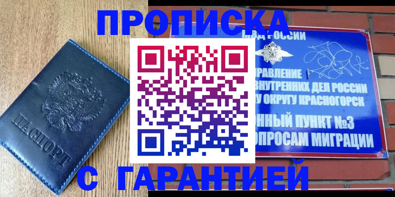 регистрация в Фрязино